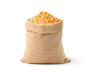 Yellow Corns / Maize