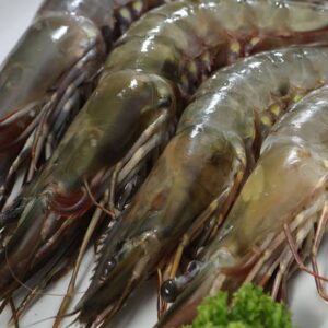 Fresh Jumbo Prawns head-on 1kg