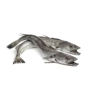 Hake Panla - (Big Size)