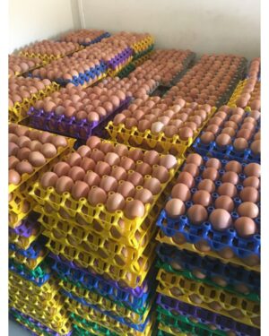 Crate of Eggs(30 Pieces With Crate)