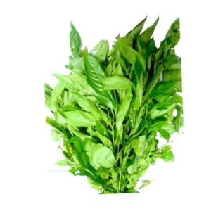 Ewedu (Jute Leaf)