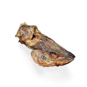 Stock Fish Head (Small)