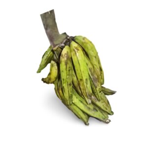 Unripe Plantain Bundle x15 (fresh)