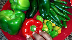 Ofada-Stew Ingredients Combo+Proteins 2-4 Servings