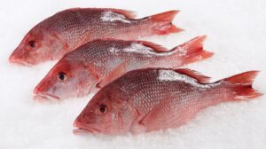 Snapper(Unwashed) - 1kg