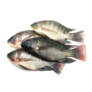 Tilapia Fresh Fish   (Scaled)