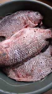 Washed & Descaled Tilapia Pack(not cut)