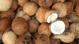 Coconut - half -1dozen Sharing