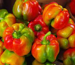 Red Green Pepper