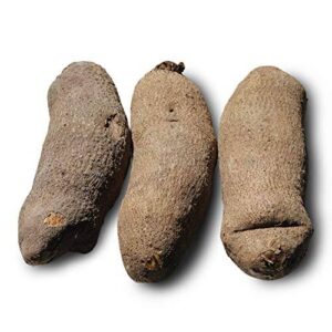 3 Medium Abuja Yam