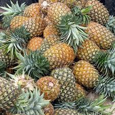 Pineapple Bendel x6( Big)