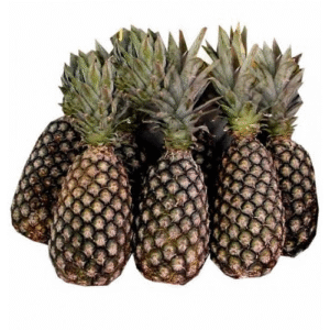Pineapple Cotonou x 6