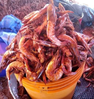 Dried Prawns-Medium