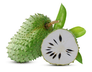 Soursop x6 (Fresh)
